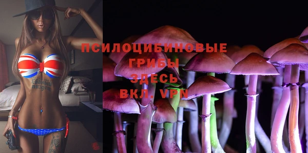 ешки Рославль