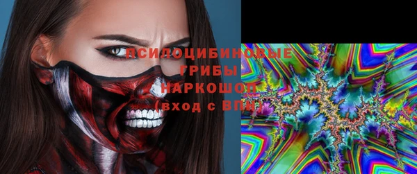 мяу мяу мука Аркадак